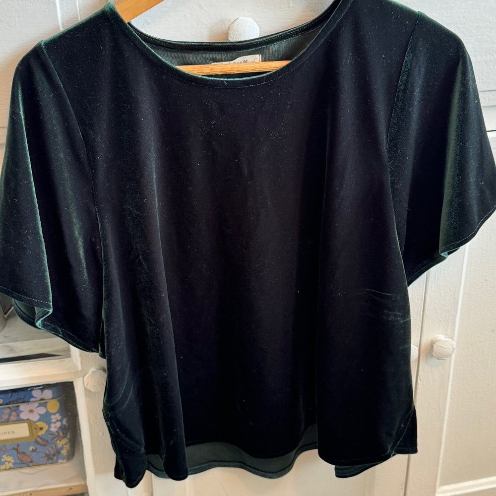 Madewell Velvet Butterfly Top